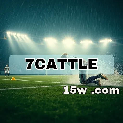 7cattle.com Segurança